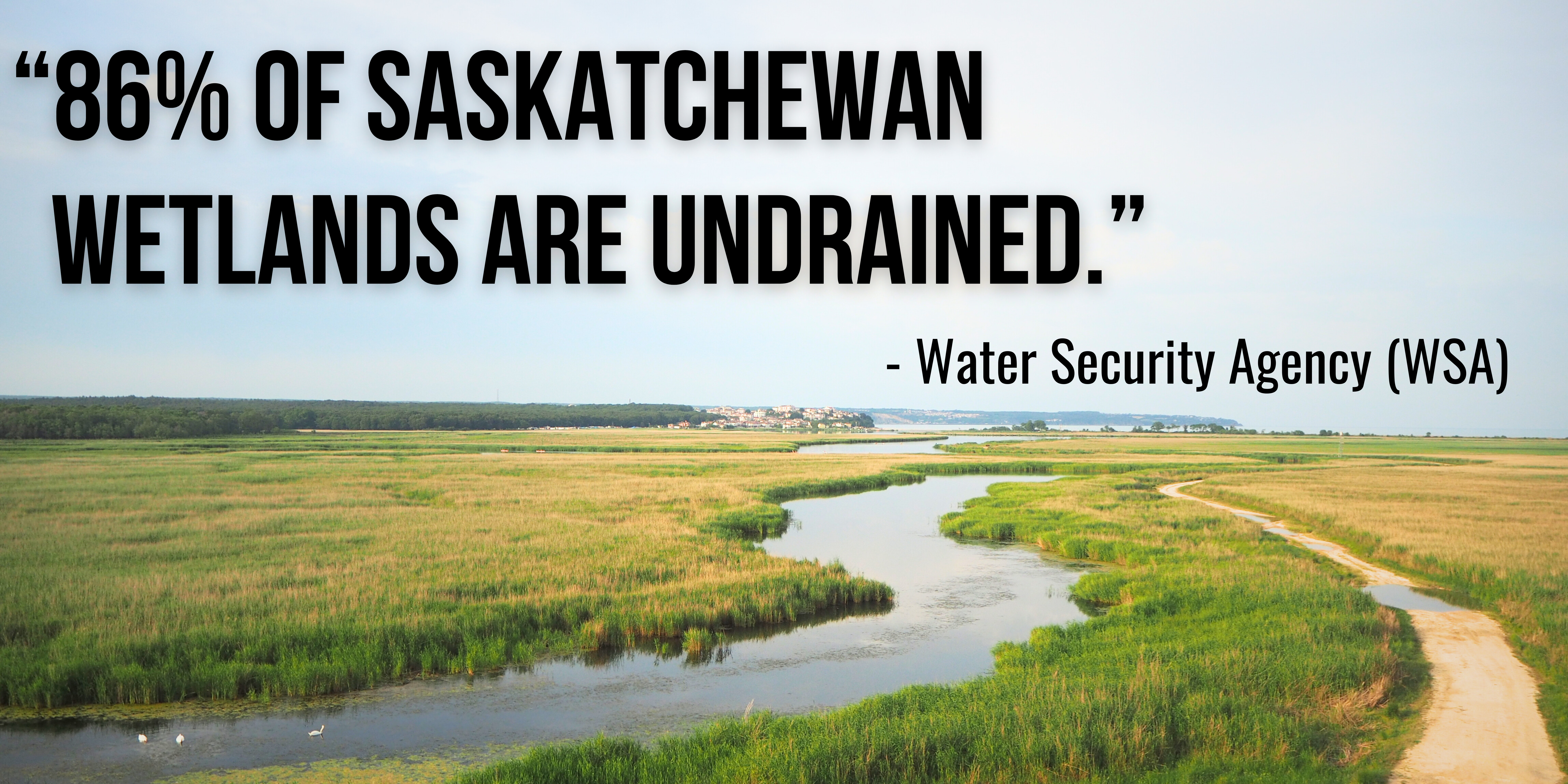 “86% of Saskatchewan Wetlands are Undrained” – WSA