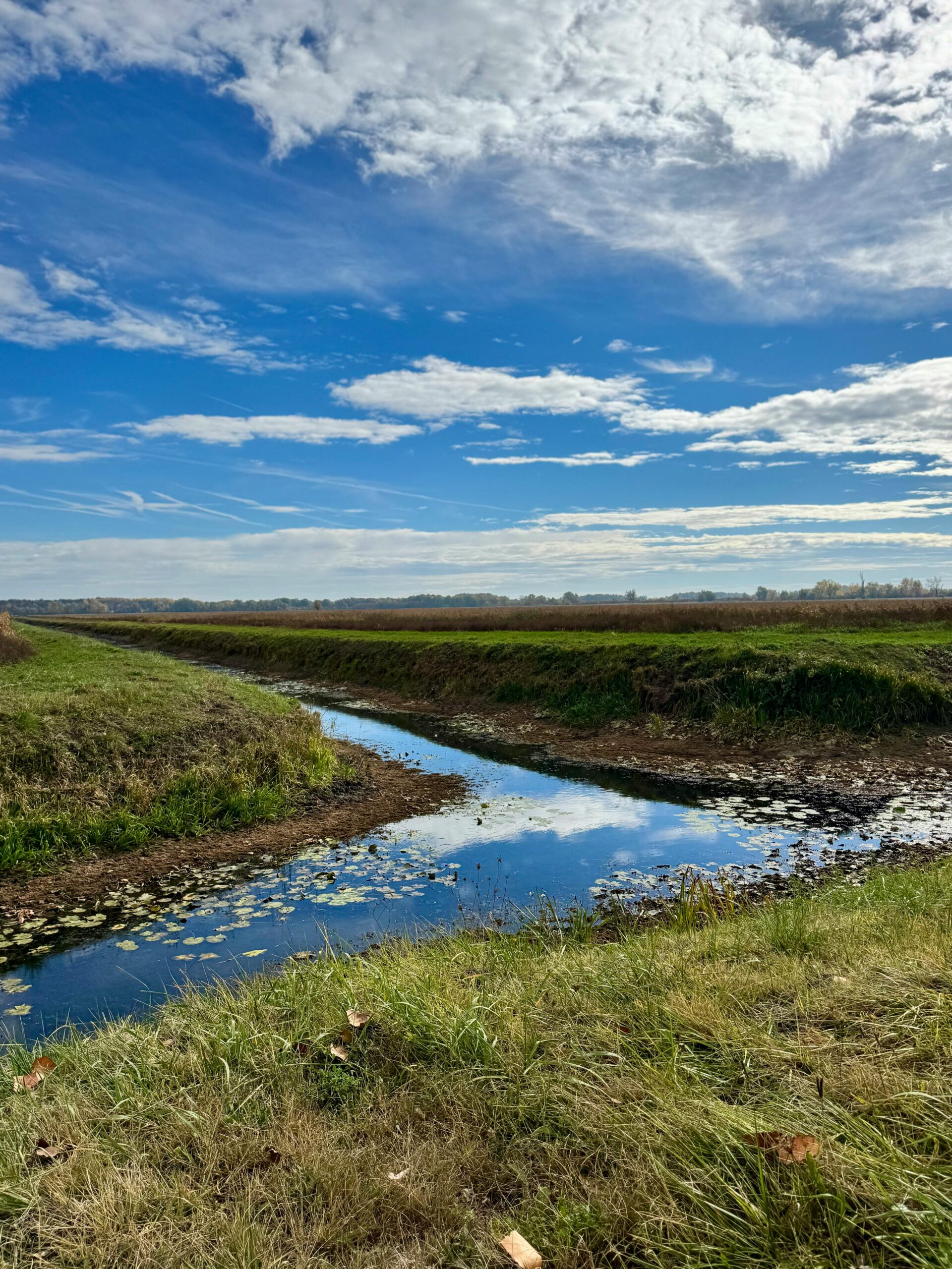 Peaceful rural scene with a reflective canal under clear blue skies.